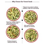 Dried Fennel Seeds Manufacturer - Customizable Organic