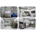 Ginseng Extract Supplement Factory - Appetite Digestive