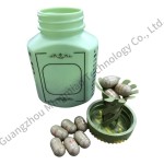 Ginseng Spleen Pills Supplier - Digestive Wellness Bestseller