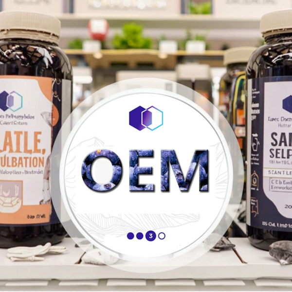 Nootropic Pouches Factory - Caffeine L-Theanine