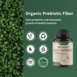 Weight Management Capsules Supplier - Green Tea Metabolic