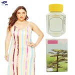 Fat Gain Capsules Supplier - Ginseng Intestinal Health