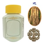 Fat Gain Capsules Supplier - Ginseng Intestinal Health