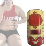 Ginseng Extract Supplement Factory - Appetite Digestive