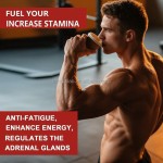 Maca Coffee Factory - Extract Supplement Sweetened