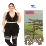 Fat Gain Capsules Supplier - Ginseng Intestinal Health