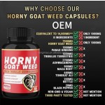 Men Health Capsules Supplier - Maca Root Strength