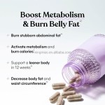 Herbal Weight Management Supplier - Capsules Metabolic Support