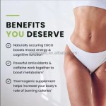 Thermogenic Supplement Factory - Herbal Metabolic Support