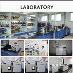 Weight Management Capsules Manufacturer - Custom Appetite Control