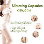 Herbal Weight Management Supplier - Capsules Metabolic Support