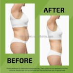 Thermogenic Supplement Factory - Herbal Metabolic Support