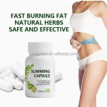 Weight Management Capsules Manufacturer - Custom Appetite Control