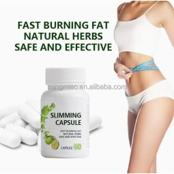 Weight Management Capsules Manufacturer - Custom Appetite Control