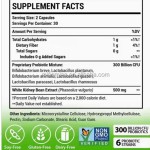 Probiotic Supplement Factory - Herbal Digestive Wellness