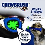 Pet Teeth Brush Supplier - Eco Friendly Chew Toy