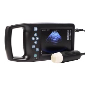 Animal Ultrasound Scanner Factory - Portable Pregnancy
