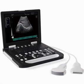 Pet Ultrasound Scanner Manufacturer - Portable B/W Quality