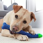 Pet Teeth Brush Supplier - Eco Friendly Chew Toy