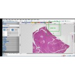 Trinocular Microscope Factory - Olympus CX23/33/43