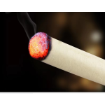 Moxa Stick Manufacturer - Handmade Herbal Wholesale