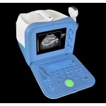 Veterinary Ultrasound Manufacturer - Portable 12-inch B Mode