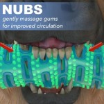 Pet Teeth Brush Supplier - Eco Friendly Chew Toy