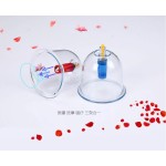 Glass Cupping Set Factory - Yifang Twist Top 12cups