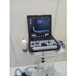 Pet Ultrasound Scanner Manufacturer - Portable B/W Quality