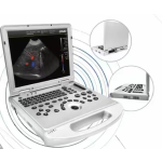 Veterinary Ultrasound Supplier - 3D/4D/5D Color Doppler