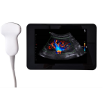 Veterinary Ultrasound Supplier - Color Doppler Small Animal