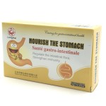 Digestive Tea Supplier - Peppermint Ginger