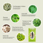 Herbal Tea Supplier - Weight Loss Wholesale