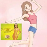 Slimming Tea Manufacturer - 16 Teabags Tummy