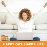 Anti-inflammatory Tea Supplier - Ginger Turmeric