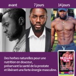 Herbal Tea Factory - Men Kidney Energy