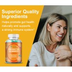 Anti-inflammatory Tea Supplier - Ginger Turmeric