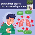 Herbal Tea Manufacturer - Flavored Blend