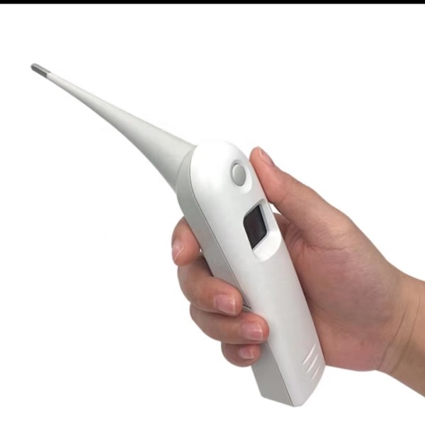 Pet Thermometer Factory - Veterinary Instrument Multi Animal