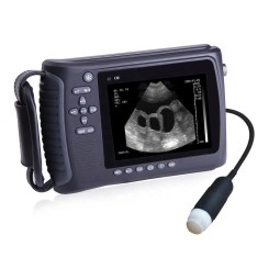 Veterinary Ultrasound Supplier - Handheld Scanner CE ISO