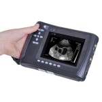 Veterinary Ultrasound Supplier - Handheld Scanner CE ISO