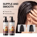 Healthy Natural Organic Hair Care Oil Control Regeneration Tea Tree Ginger Hair Smooth Improvement Dry Ginger Hair Conditioner