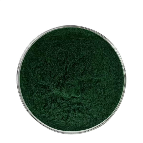 Spirulina Powder Manufacturer - Organic Food Grade
