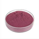 Beetroot Powder Factory - Red Beet Root Extract