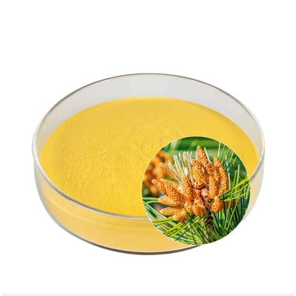 Pine Pollen Powder Manufacturer - Cell Wall Broken