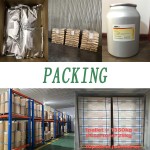 Berberine HCL Factory - 97% Hydrochloride Natural