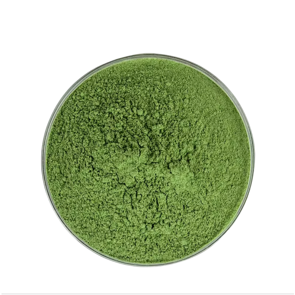 Matcha Powder Manufacturer - ISO Certified Ceremonial