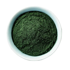 Chlorella Powder Supplier - 100% Pure Organic