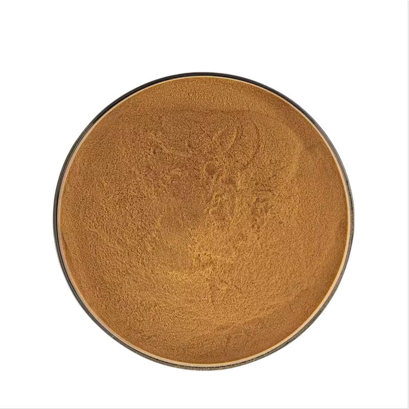 Boswellia Extract Supplier - 65% Boswellic Acid