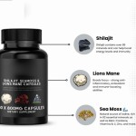 Shilajit Extract Capsules Supplier - Natural Adult Dietary